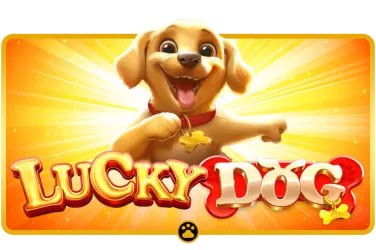 live baccarat and roulette table options in ph6655 casino section on mobile